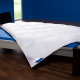 BÖHMERWALD 200 x 200 cm Daunendecke Kassettenbett EXQUISIT Extra Warm ****